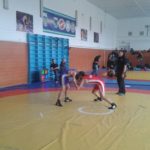 Першість області з вільної боротьби