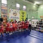 Відкрита першість ОДЮСШ з боксу «Веселі рукавички» серед дітей