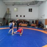 Чемпіонат області серед дорослих з вільної боротьби