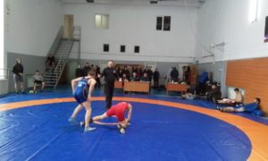 Чемпіонат області серед дорослих з вільної боротьби